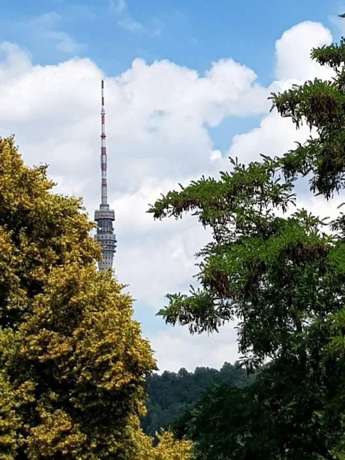 Ferienwohnung Elbhangblick - für 2 Personen Dresden